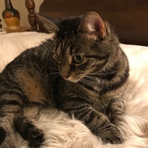 Meet your Posher, Elizabeth